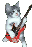cat playing guitar